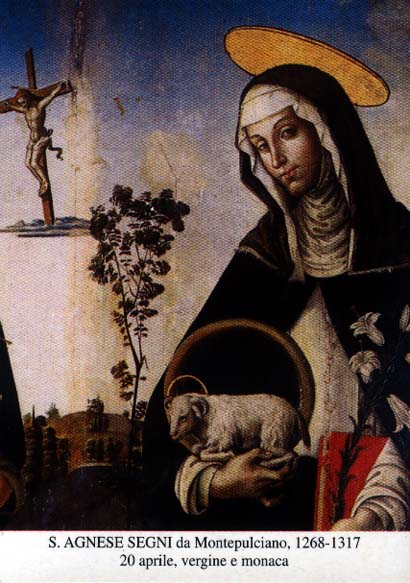 Sant'Agnese Segni di Montepulciano - Vergine